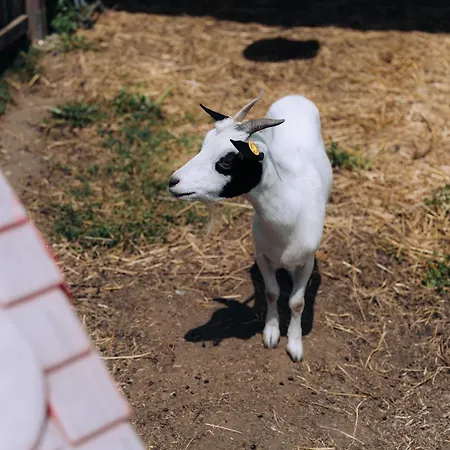 Sleep & Fly Malpensa