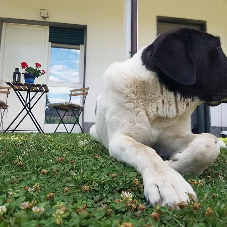 住宿加早餐酒店 Sleep & Fly Malpensa 卡萨诺韦