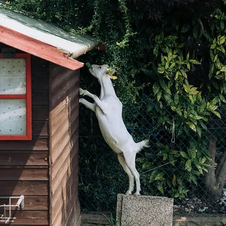 Sleep & Fly Malpensa 住宿加早餐酒店